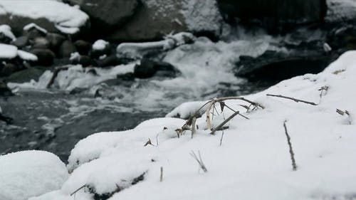 有关冬季, 冰, 冷的免费素材视频