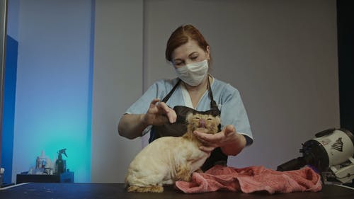 有关人, 可爱, 可爱的的免费素材视频