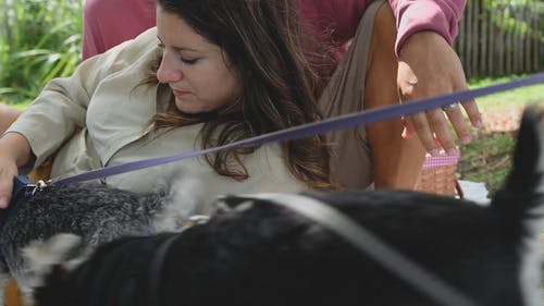 有关一对, 一起, 人的免费素材视频