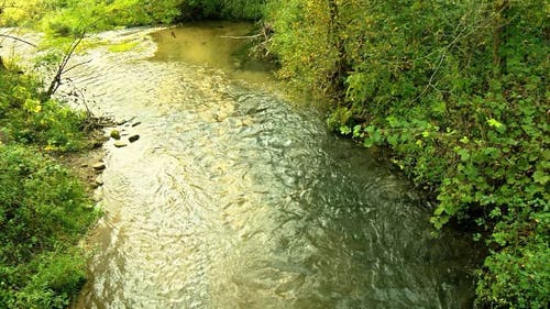有关天性, 小河, 拉出射击的免费素材视频