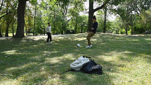 有关休闲, 体力活动, 公园的免费素材视频