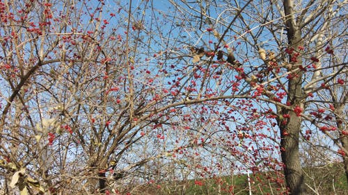 有关@户外, 从下面, 低角度拍摄的免费素材视频