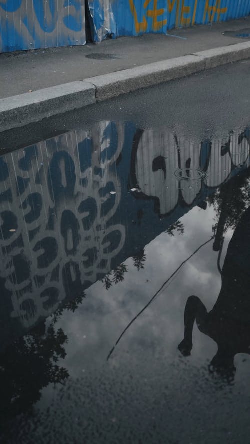 有关反射, 垂直视频, 户外的免费素材视频