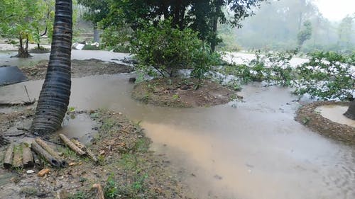 有关下雨, 下雨天, 天性的免费素材视频