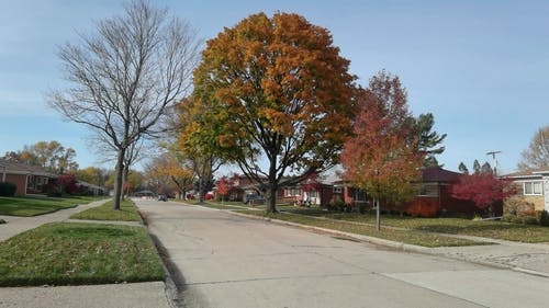 有关下落, 住宅, 季节的免费素材视频