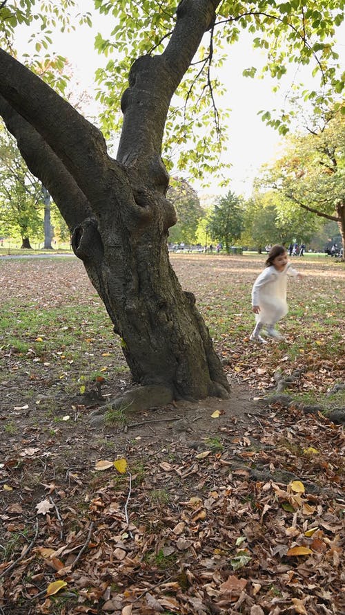 有关儿童, 公园, 可爱的免费素材视频