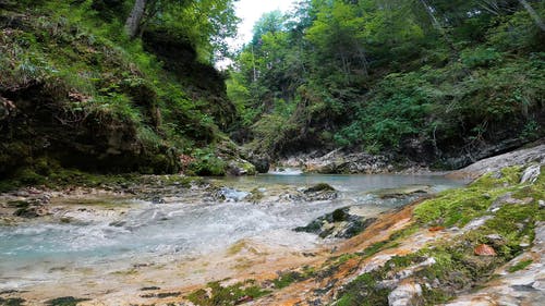 有关4k, 天性, 小溪的免费素材视频