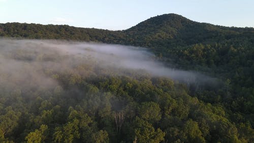 有关天性, 山, 森林的免费素材视频