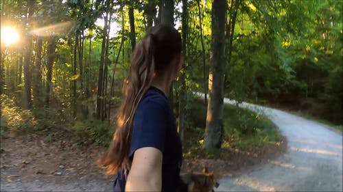 有关休闲, 冒险, 动物的免费素材视频