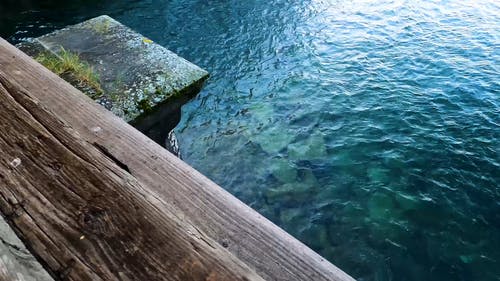 有关冷静, 和平的, 和谐的免费素材视频