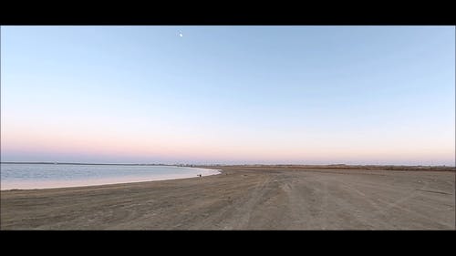 有关动态射击, 地平线, 天性的免费素材视频