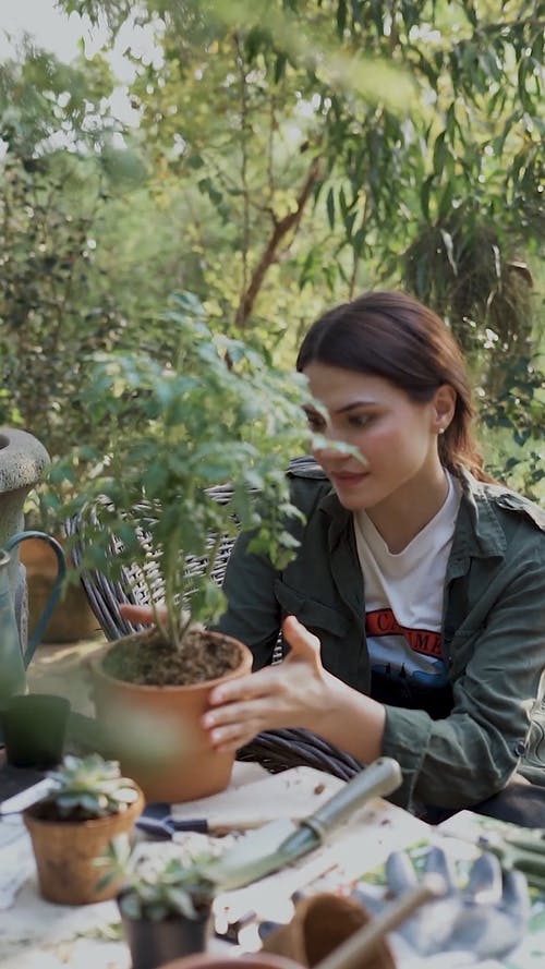 有关修剪花草, 咖啡色头发的女人, 园丁的免费素材视频