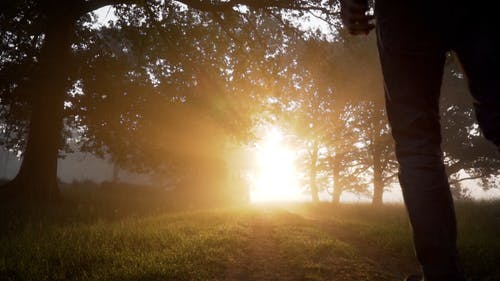 有关人, 低角度拍摄, 家伙的免费素材视频