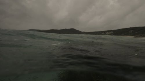 有关天性, 户外, 水下的免费素材视频