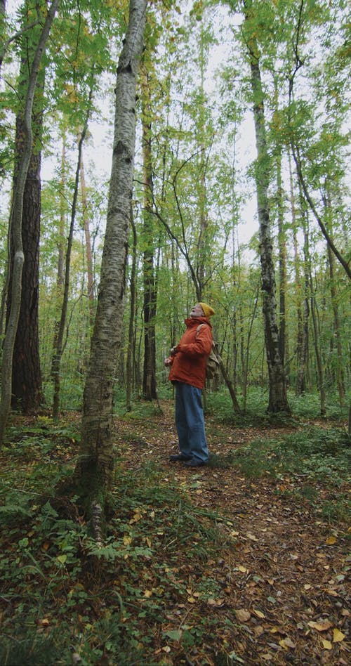 有关一起, 人, 休闲的免费素材视频