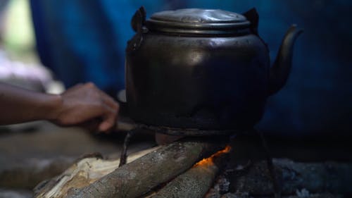 有关加热, 手, 柴火的免费素材视频