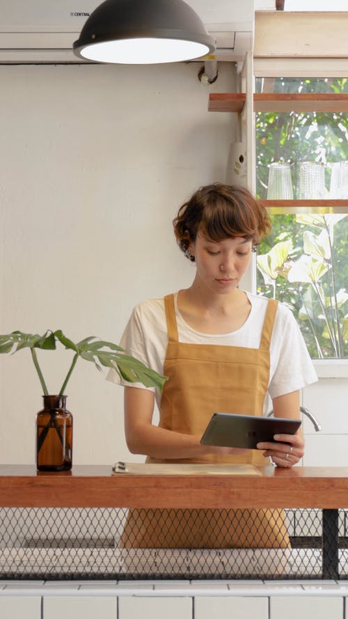 有关iPad, 地平线, 女人的免费素材视频