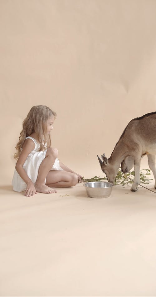 有关儿童, 动物, 吃的免费素材视频