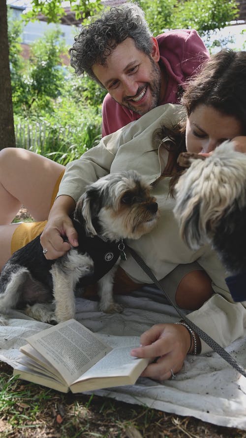 有关一对, 人, 垂直视频的免费素材视频