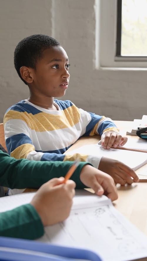 有关可爱的, 垂直视频, 学校的免费素材视频