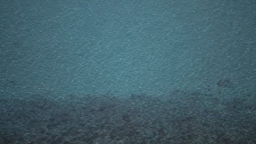 有关冷静, 地平线, 平静的水面的免费素材视频