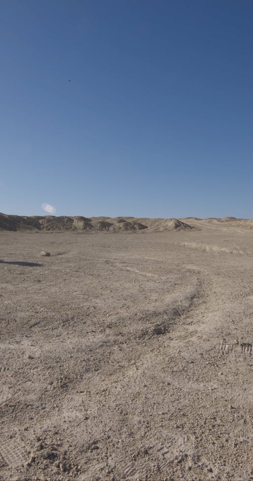 有关垂直视频, 户外, 模特儿的免费素材视频