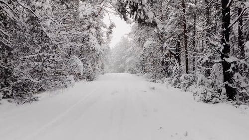 有关下雪的, 下雪的天气, 冬季的免费素材视频