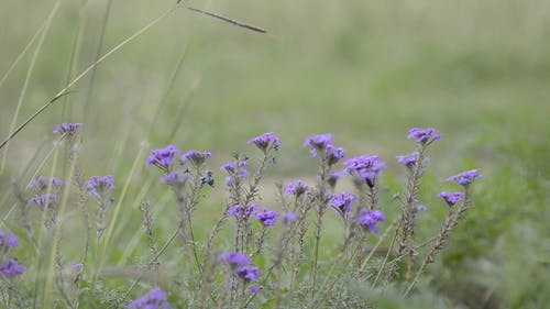 有关冷静, 呼吸, 和平的免费素材视频