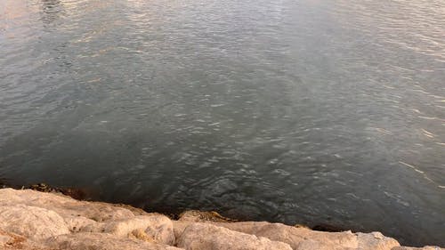 有关地平线, 城市背景, 多云的天空的免费素材视频