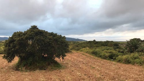 有关光, 农业用地, 农业领域的免费素材视频