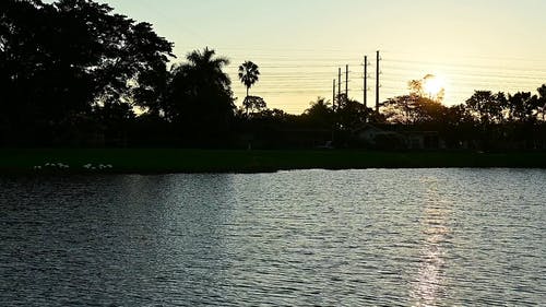 有关剪影, 天性, 太阳光线的免费素材视频