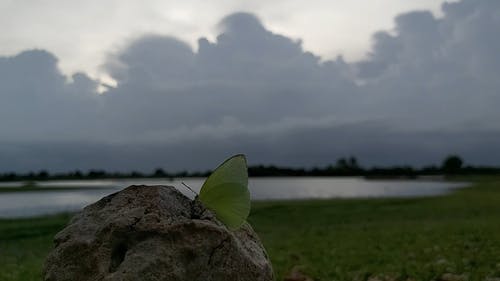 有关天空, 岩石, 户外的免费素材视频