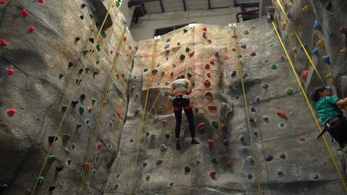 有关休闲, 嗜好, 女人的免费素材视频