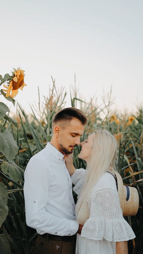 有关一对, 人, 向日葵的免费素材视频