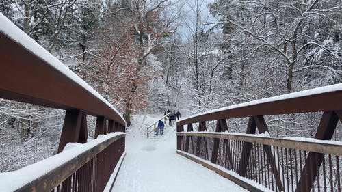 有关下雪的, 免费下载, 免费视频的免费素材视频