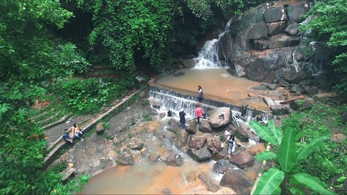 有关forestpark, 公园, 冒险的免费素材视频