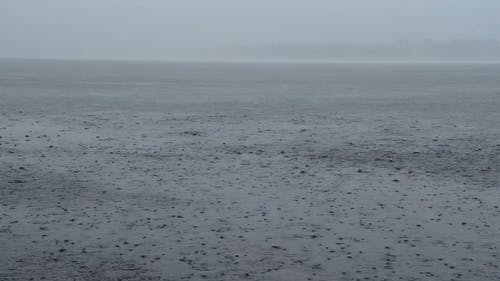 有关下雨, 倾盆大雨, 坏天气的免费素材视频