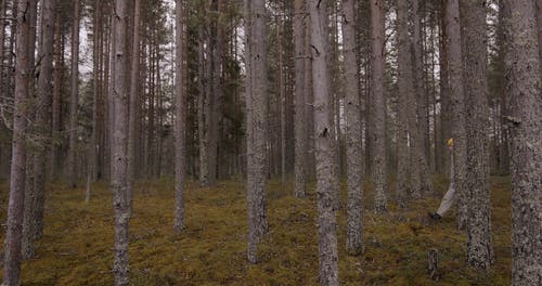 有关人, 冷, 冷静的免费素材视频