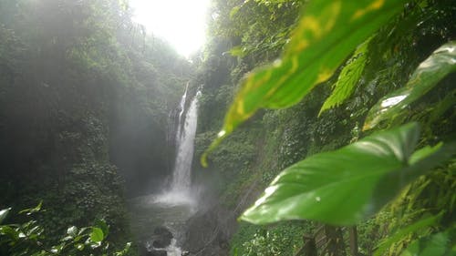 有关天性, 岩石, 急流的免费素材视频