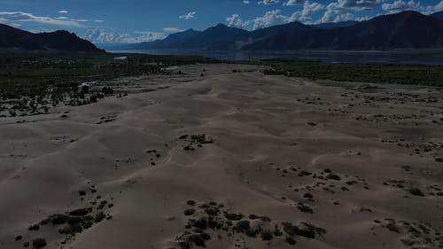 有关冷静, 夏天, 天性的免费素材视频