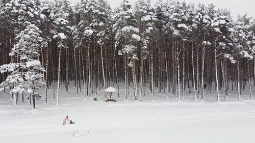 有关oudoors, 下雪, 享受的免费素材视频