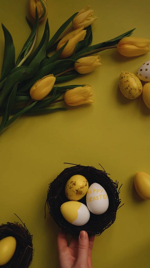 有关传统, 创作的, 垂直视频的免费素材视频