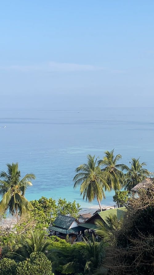 有关亚洲, 垂直视频, 天堂的免费素材视频