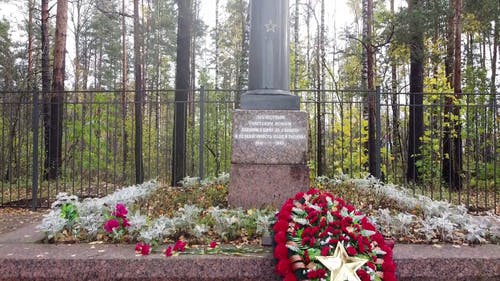 有关俄国, 圣彼得堡, 墓园的免费素材视频