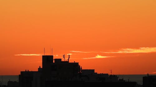 有关剪影, 天性, 天空的免费素材视频