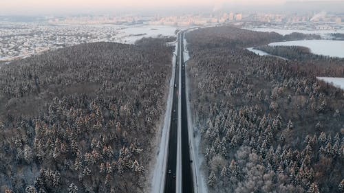 有关下雪的天气, 冬季, 冬季景观的免费素材视频