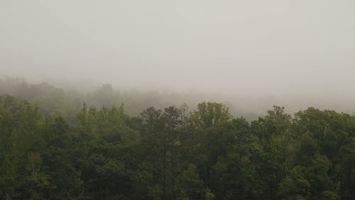 有关多云的, 大雾天, 天性的免费素材视频