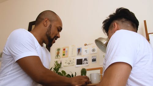 有关一对, 仙人掌, 室内的免费素材视频