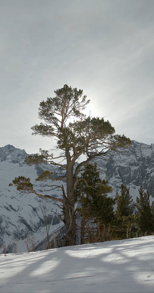 有关冷, 冷冰的, 冷冻的免费素材视频