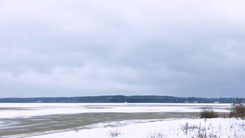有关下雪, 下雪的天气, 冬季的免费素材视频